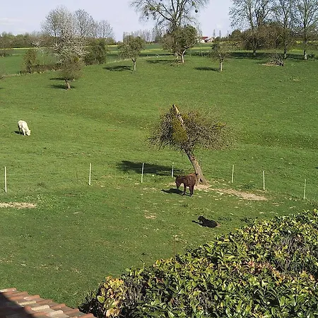 La Bergerie du festel Saint-Riquier Exterior foto